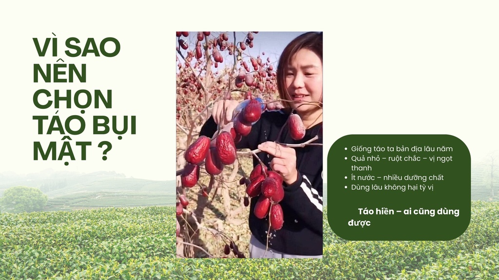 Táo đỏ bụi mật Tân Cương