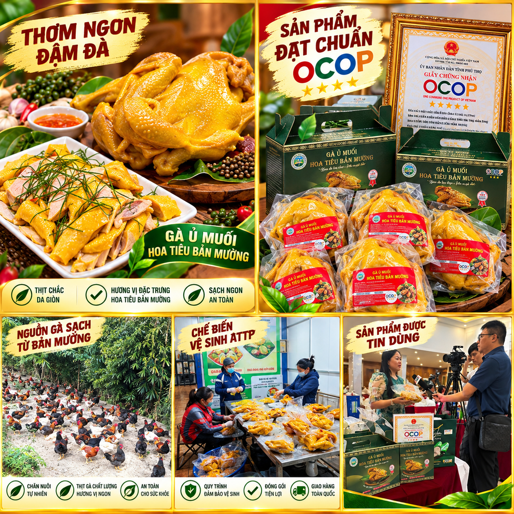 COMBO GÀ Ủ MUỐI BẢN MƯỜNG