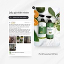 Cặp dầu gội xả Bưởi Natsumi chính hãng hỗ hỗ trợ giảm rụng tóc, kích thích mọc tóc, giúp tóc chắc khỏe, mềm mượt.