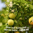 Cặp dầu gội xả Bưởi Natsumi chính hãng hỗ hỗ trợ giảm rụng tóc, kích thích mọc tóc, giúp tóc chắc khỏe, mềm mượt.