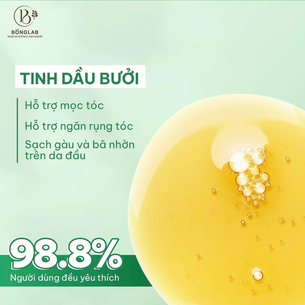Serum Sachi 6+ phục hồi tóc hư tổn chống chẻ ngọn