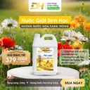 Nước Giặt DH Green Life hương nước hoa