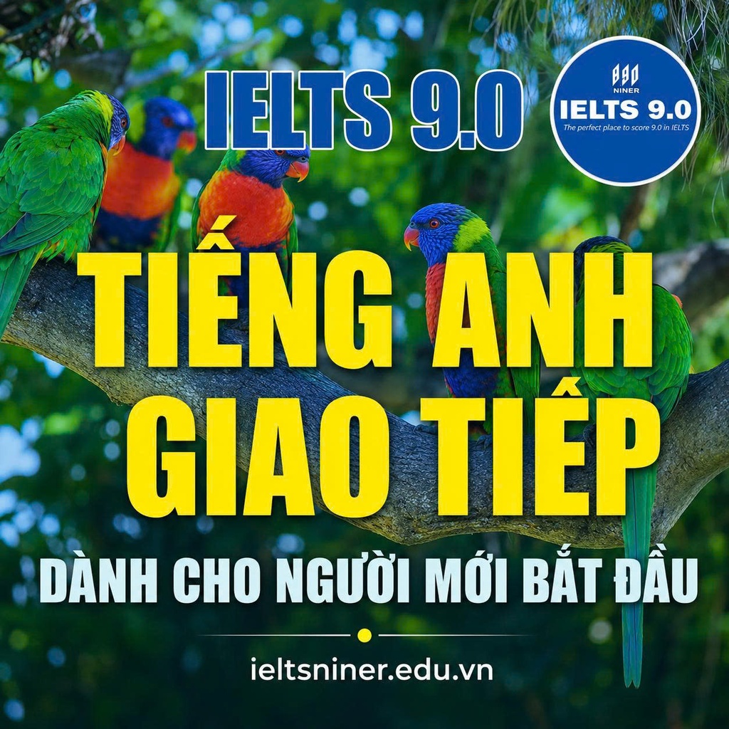 Tiếng Anh Giao Tiếp Cho Người Mới Bắt Đầu