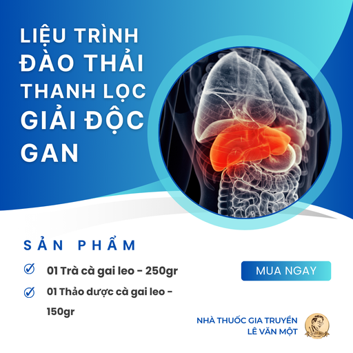 [LTĐTTLGĐG00243] LIỆU TRÌNH ĐÀO THẢI, THANH LỌC, GIẢI ĐỘC GAN