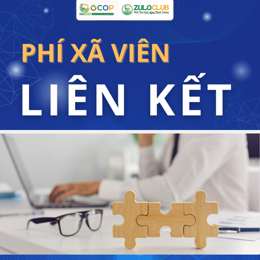 [PXVLK00347] PHÍ XÃ VIÊN LIÊN KẾT
